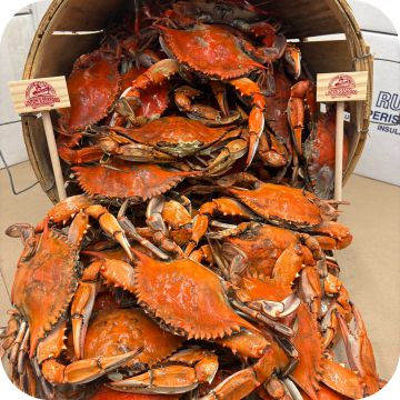 Maryland Large Male Blue Crabs (bushel)